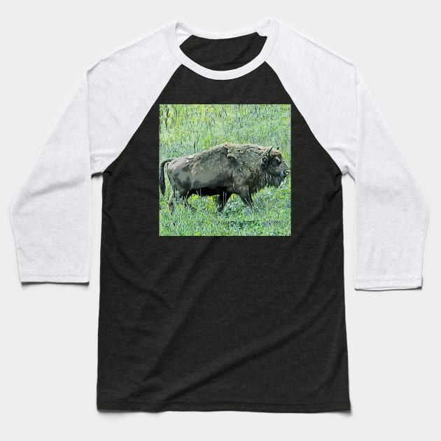 bison Baseball T-Shirt by gawelprint